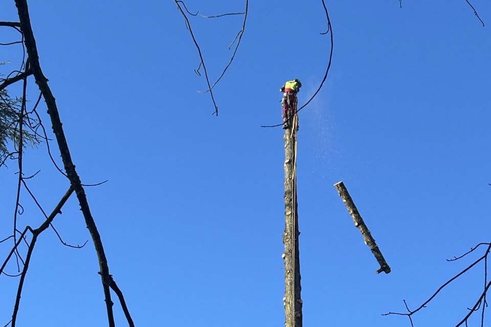 Update aus dem Rosenhof-Park